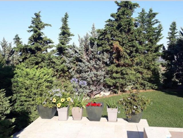 Villa Corina Near The Airport Kouvarás Dış mekan fotoğraf